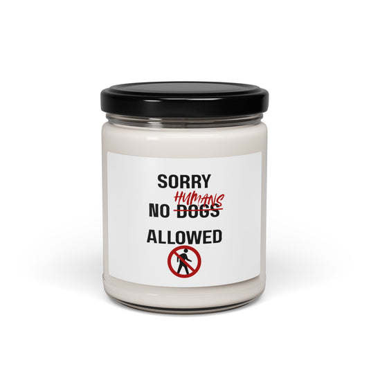 Scented Soy Candle, 9oz